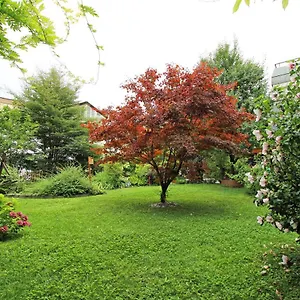 navštívit hotel